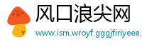风口浪尖网